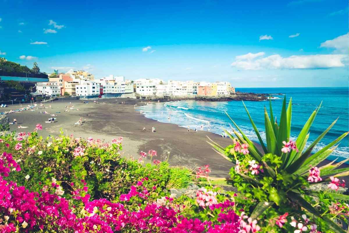 Les plantes idéales pour un jardin de bord de mer